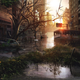 Illustration for article titled The Incredible Art Of Maciej Kuciara, Whos Worked On emThe Last Of Us, Cyberpunk/em emCrysis/em